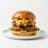 Burger menu item
